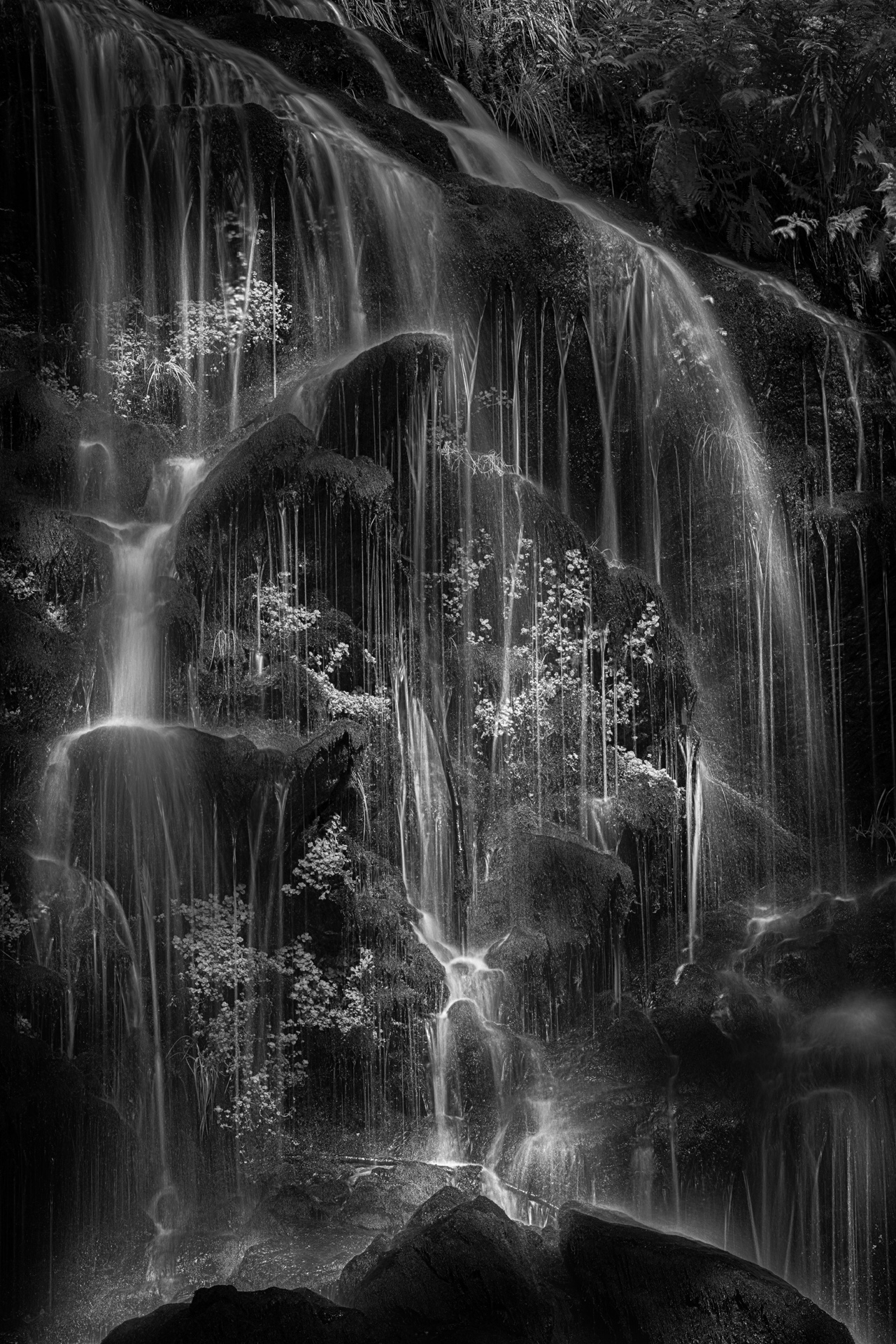 AK3 Steffen Mahler Where the Wilcatters fall Medallie